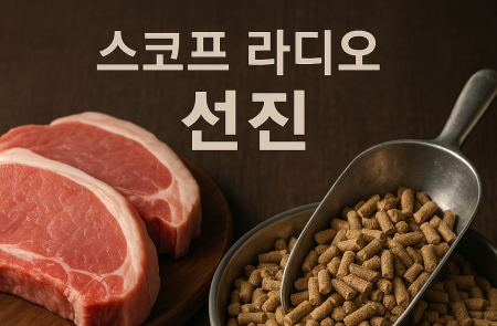 프리미엄 회원에게만 제공되는 기사입니다